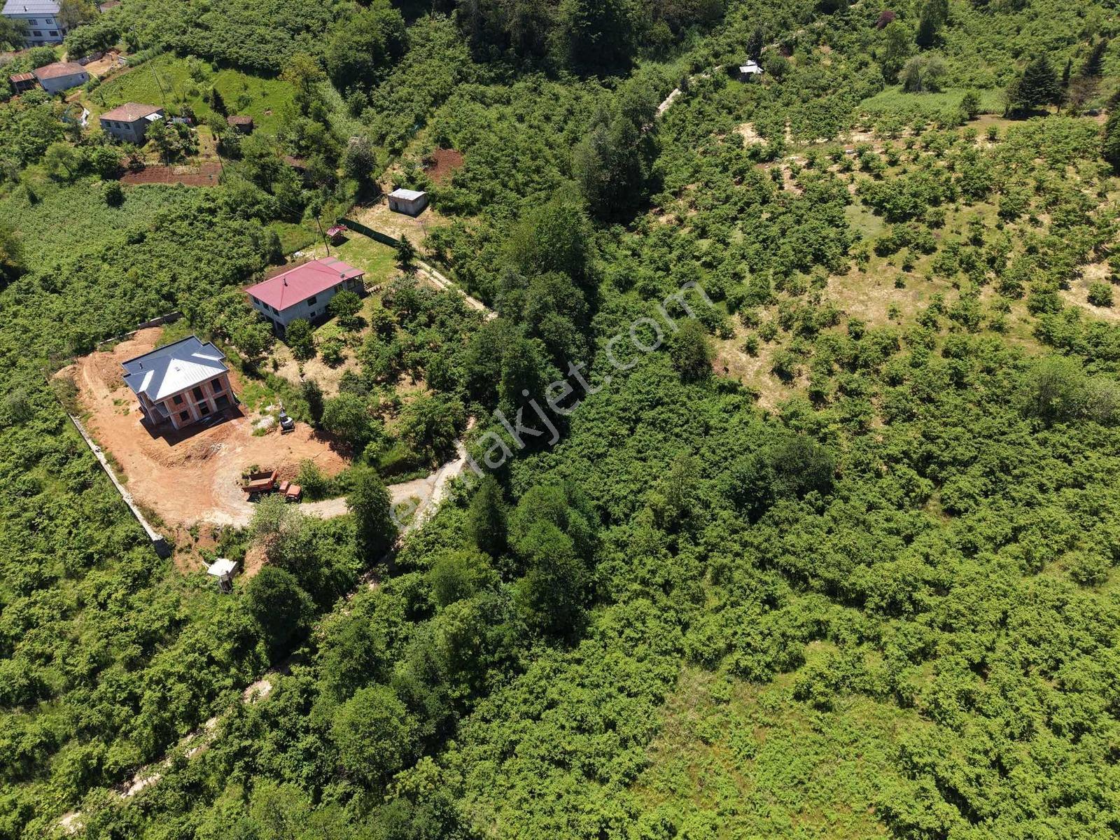 Vip Real Estateden Kavalada 1.600 M2 Fırsat Arsa - Görsel 19