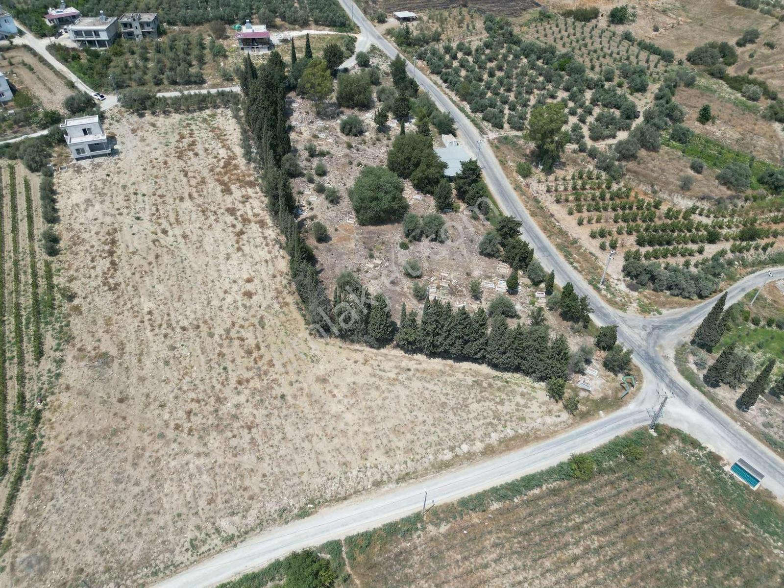 Bm"den Tarsus Çakırlıda Organızeye Yakın 8465m2 Arazi+müstakilev - Görsel 3