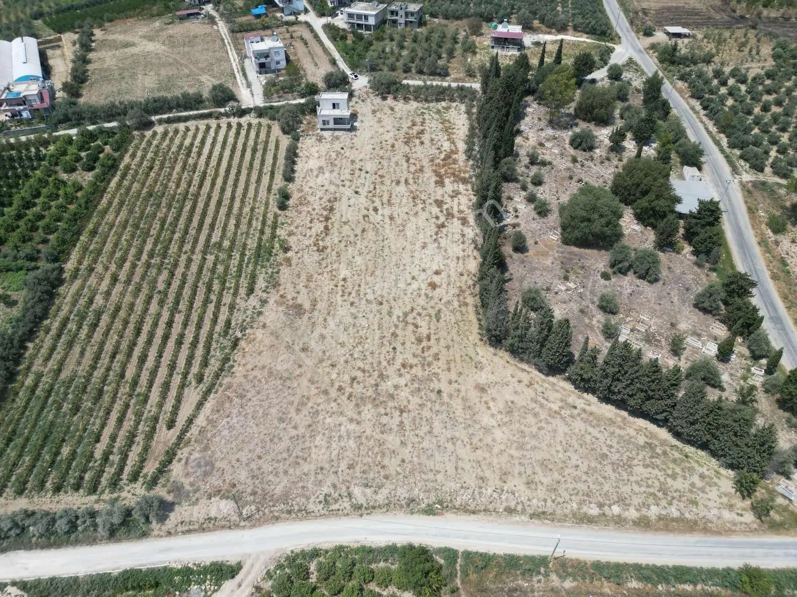 Bm"den Tarsus Çakırlıda Organızeye Yakın 8465m2 Arazi+müstakilev - Görsel 11