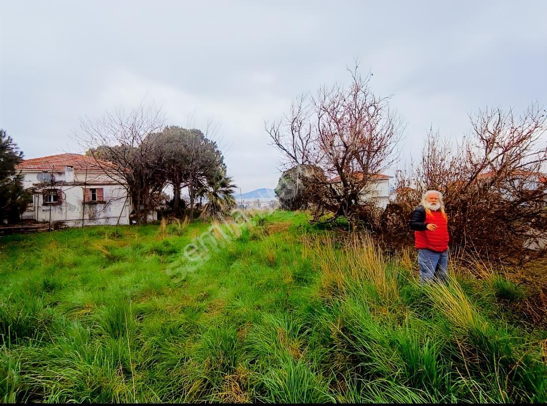 Cunda Adası Dombadis Mevkiinde 1085 M2 Deniz Manzaralı Arsa - Görsel 5