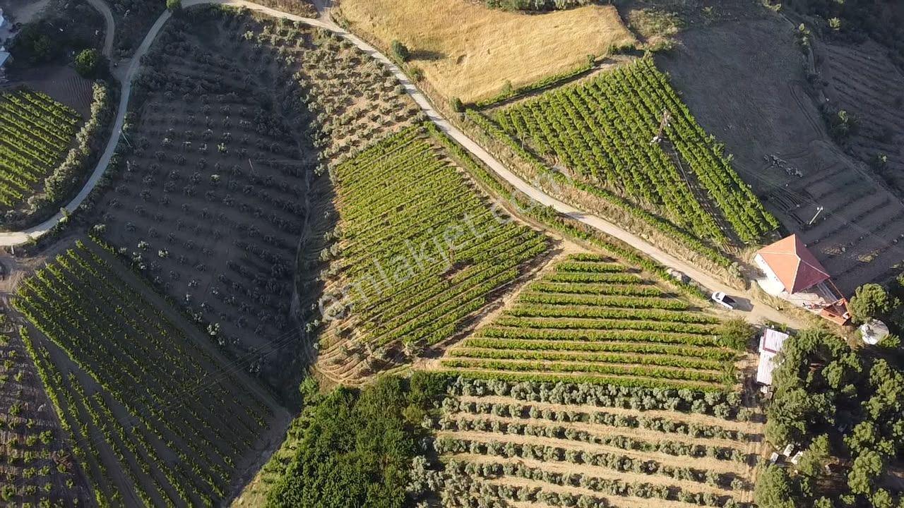 Manisa Alaşehir Alper Gayrimenkulden Uluderbent 5300 M2 Müstakil Elk.-su Takaslı - Görsel 27