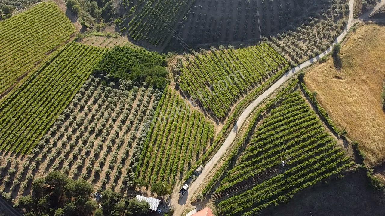 Manisa Alaşehir Alper Gayrimenkulden Uluderbent 5300 M2 Müstakil Elk.-su Takaslı