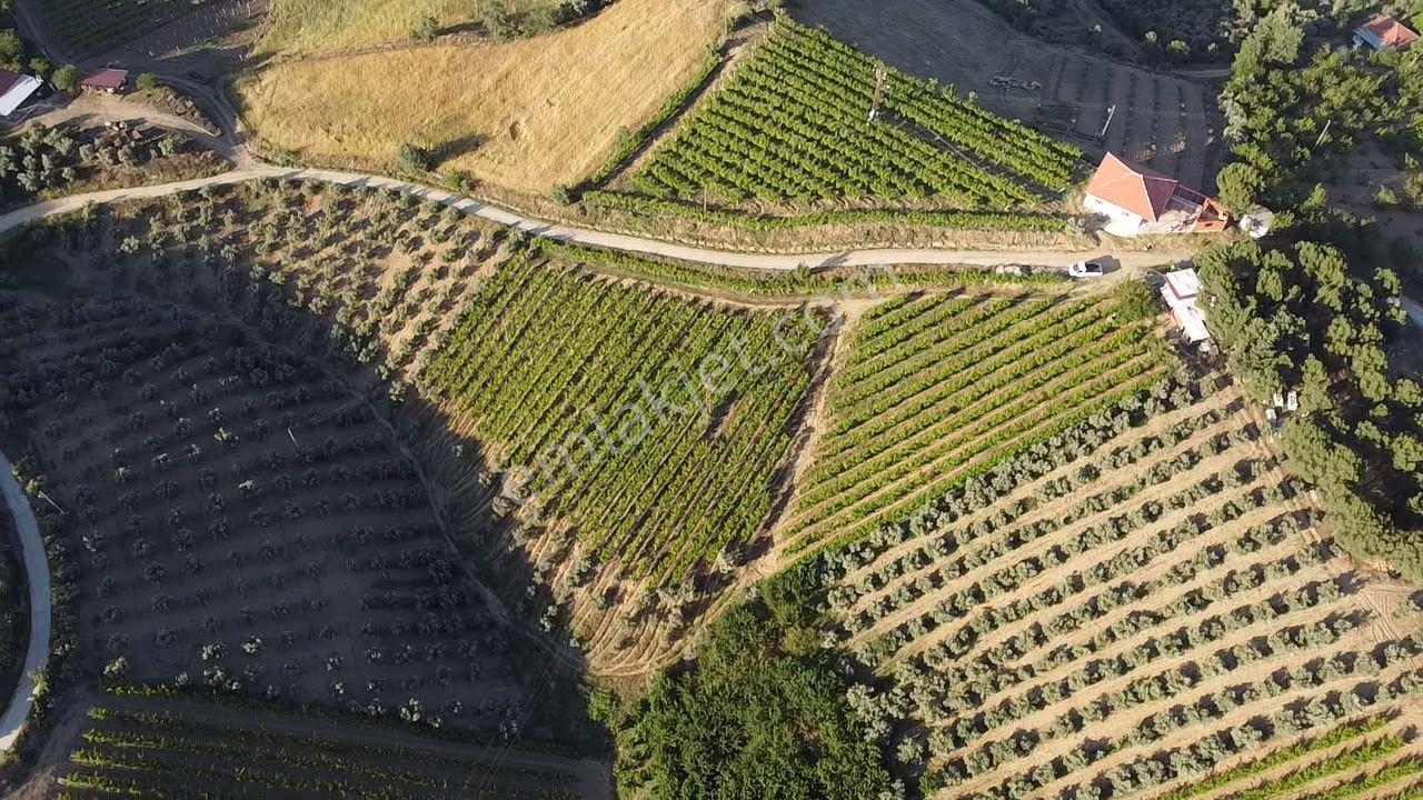 Manisa Alaşehir Alper Gayrimenkulden Uluderbent 5300 M2 Müstakil Elk.-su Takaslı - Görsel 26