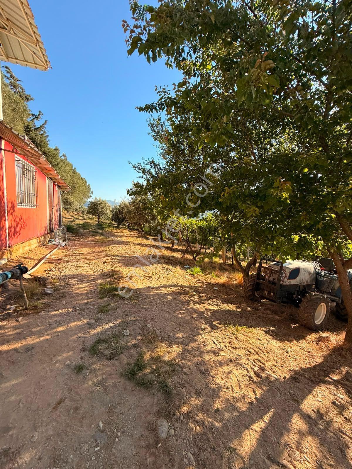 Manisa Alaşehir Alper Gayrimenkulden Uluderbent 5300 M2 Müstakil Elk.-su Takaslı - Görsel 18