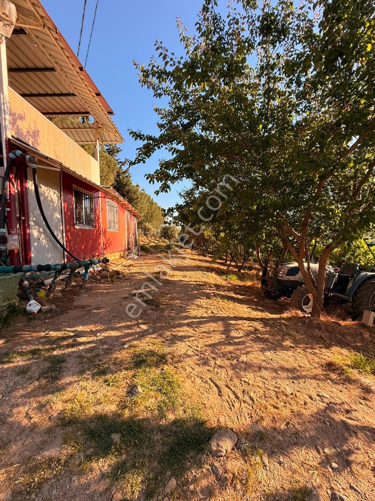 Manisa Alaşehir Alper Gayrimenkulden Uluderbent 5300 M2 Müstakil Elk.-su Takaslı - Görsel 4