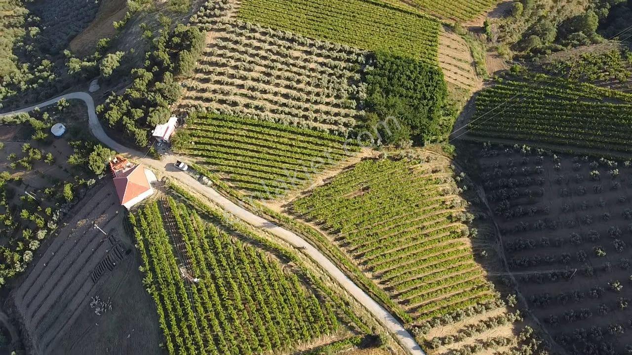 Manisa Alaşehir Alper Gayrimenkulden Uluderbent 5300 M2 Müstakil Elk.-su Takaslı - Görsel 28