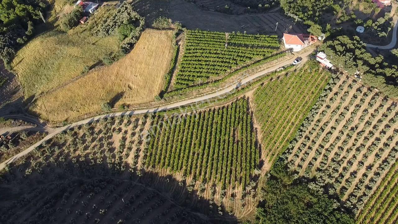 Manisa Alaşehir Alper Gayrimenkulden Uluderbent 5300 M2 Müstakil Elk.-su Takaslı - Görsel 25