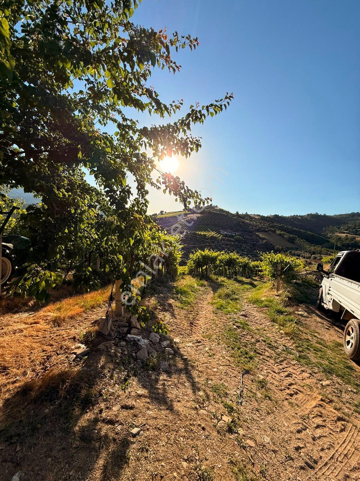 Manisa Alaşehir Alper Gayrimenkulden Uluderbent 5300 M2 Müstakil Elk.-su Takaslı - Görsel 20