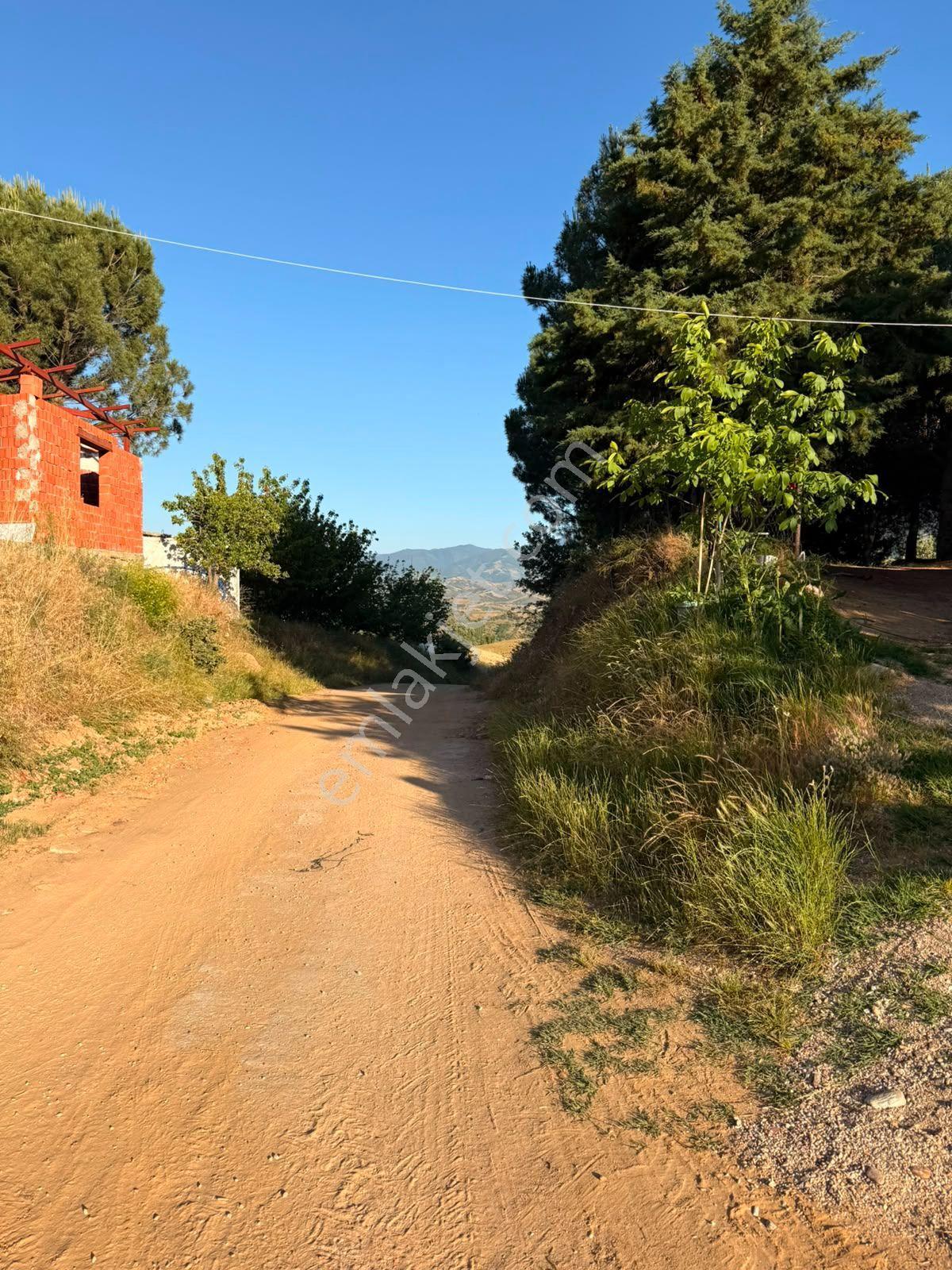 Manisa Alaşehir Alper Gayrimenkulden Uluderbent 5300 M2 Müstakil Elk.-su Takaslı - Görsel 6