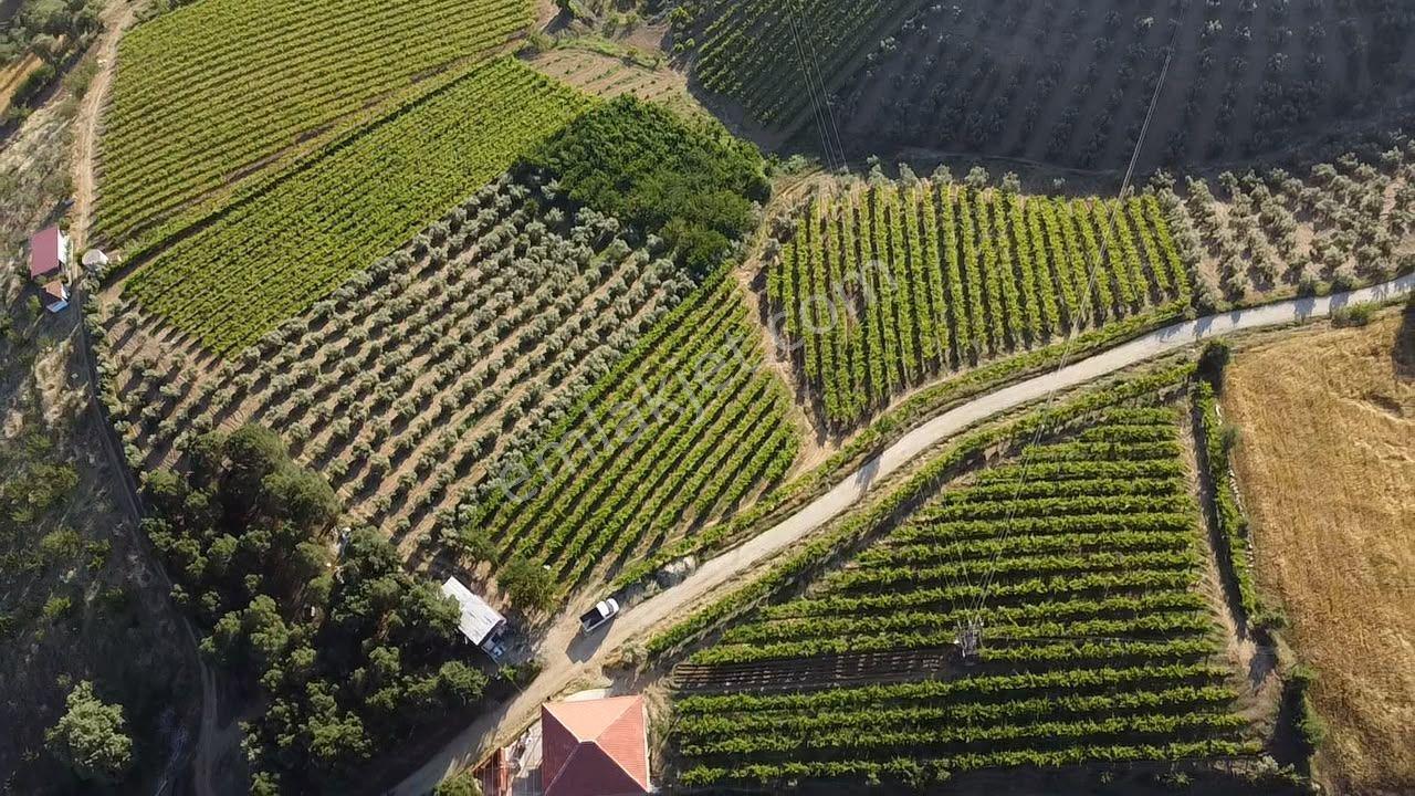 Manisa Alaşehir Alper Gayrimenkulden Uluderbent 5300 M2 Müstakil Elk.-su Takaslı - Görsel 22