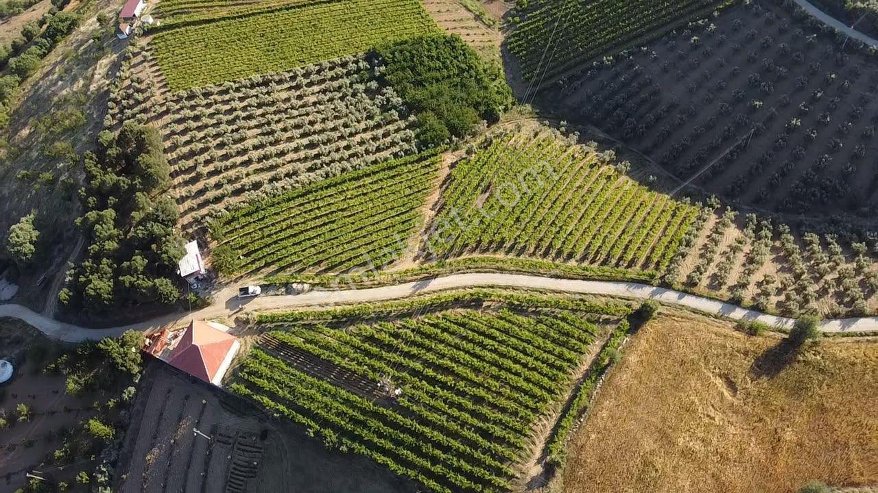Manisa Alaşehir Alper Gayrimenkulden Uluderbent 5300 M2 Müstakil Elk.-su Takaslı - Görsel 23