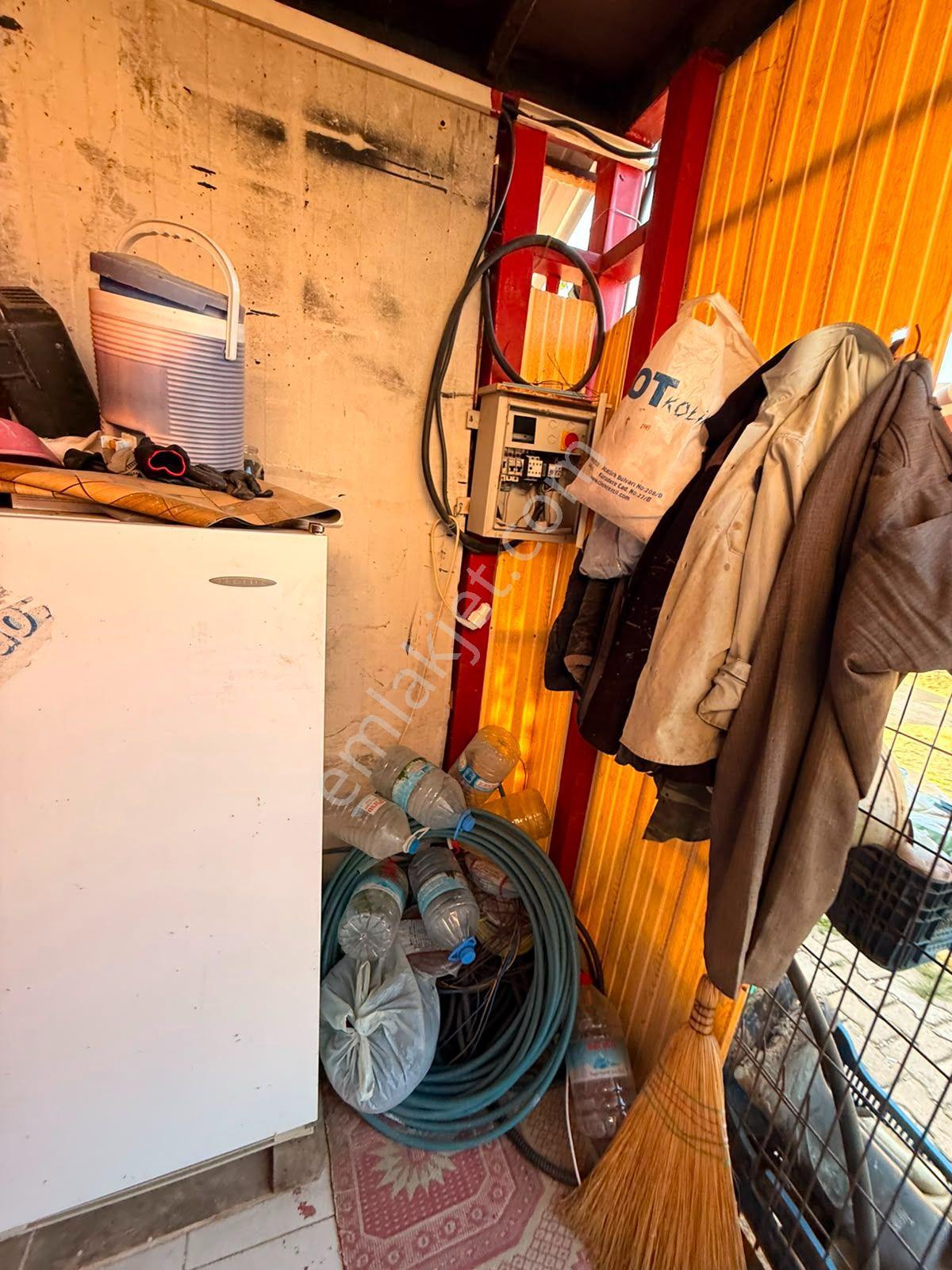 Manisa Alaşehir Alper Gayrimenkulden Uluderbent 5300 M2 Müstakil Elk.-su Takaslı - Görsel 11