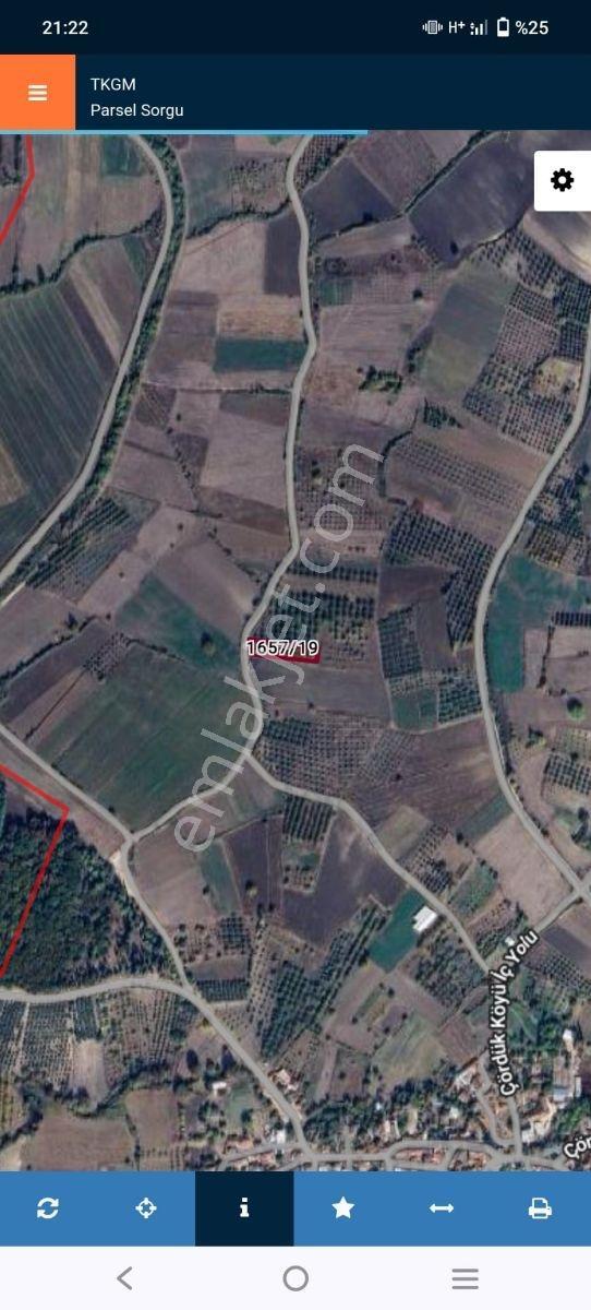 Bursa Mustafa Kemal Paşa Çördük Köyün De 1400 M2 Bahçe - Görsel 4