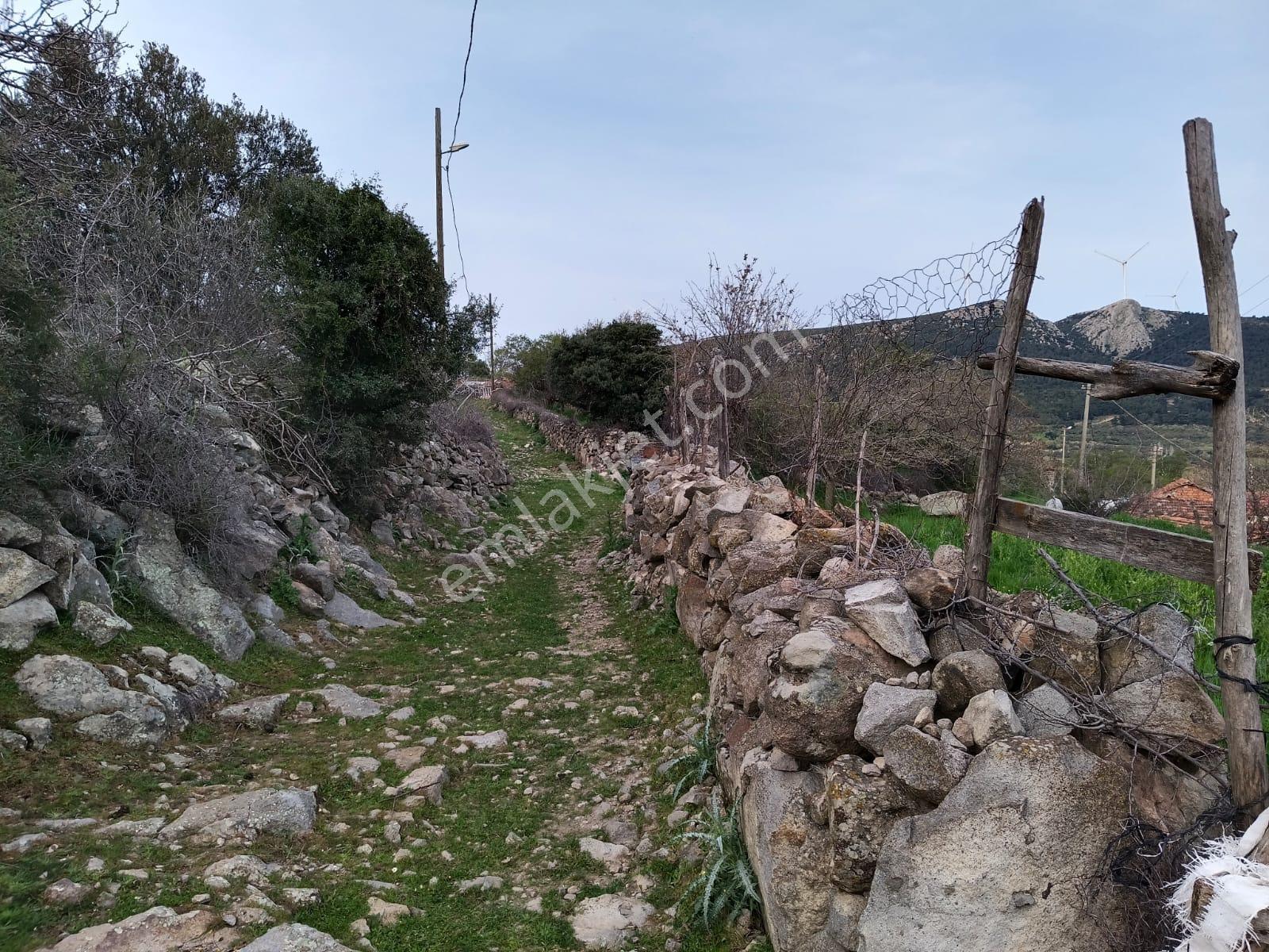 Durmuşlar'da 166 M2 Köy İçi İmarlı Arsa - Görsel 3