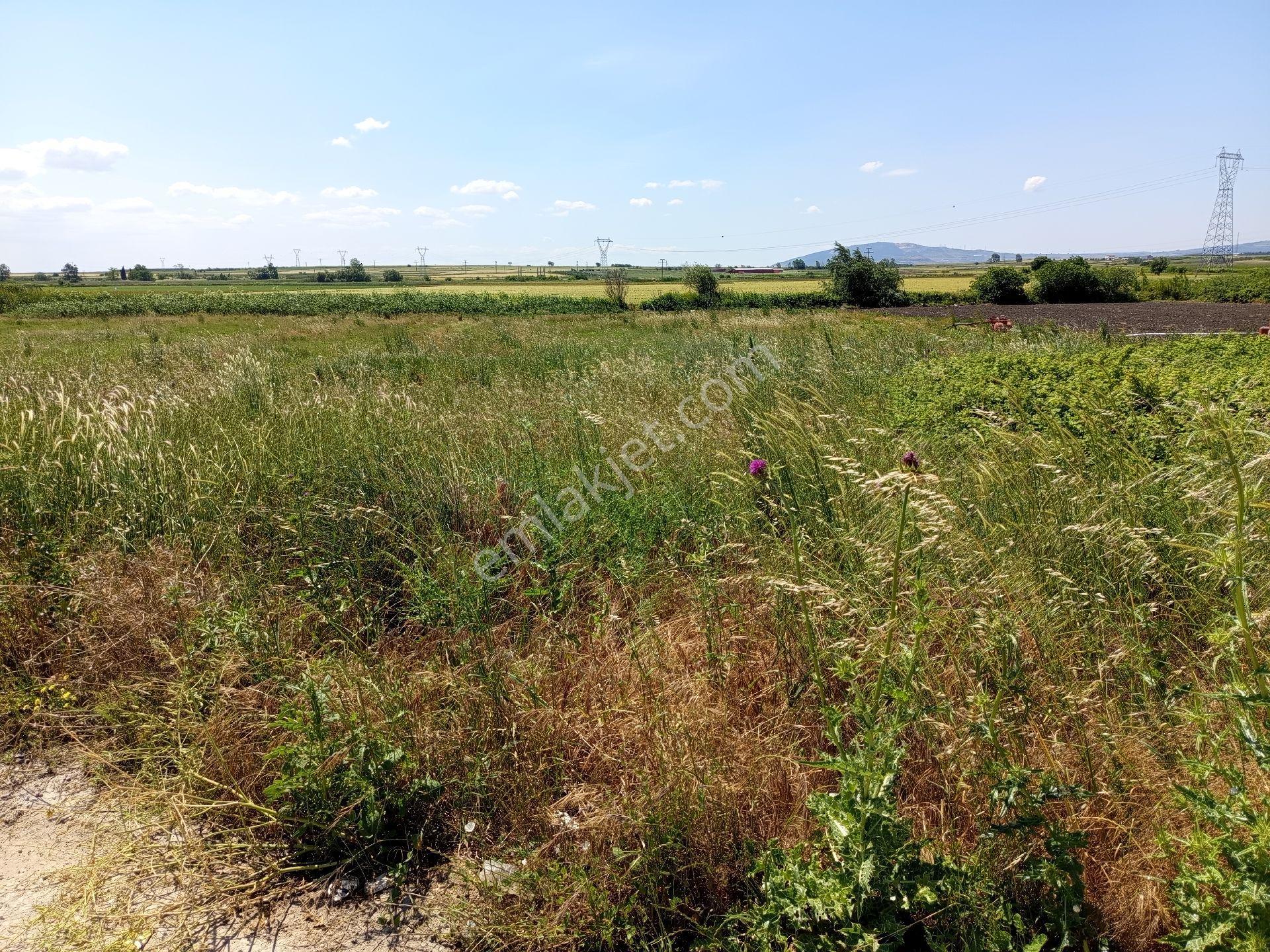 Karacabey Seyran Mahallesi Satılık 4.426 Mt2 Tarla Kadastro Yolu Na Cepheli Otoyola Cepheli - Görsel 23