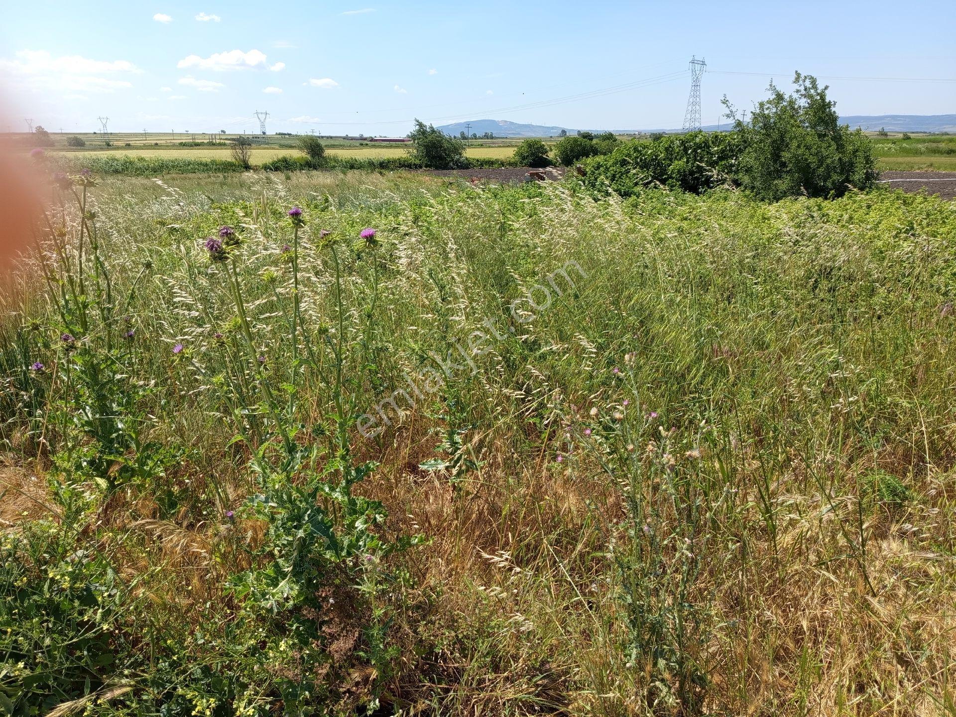 Karacabey Seyran Mahallesi Satılık 4.426 Mt2 Tarla Kadastro Yolu Na Cepheli Otoyola Cepheli - Görsel 6