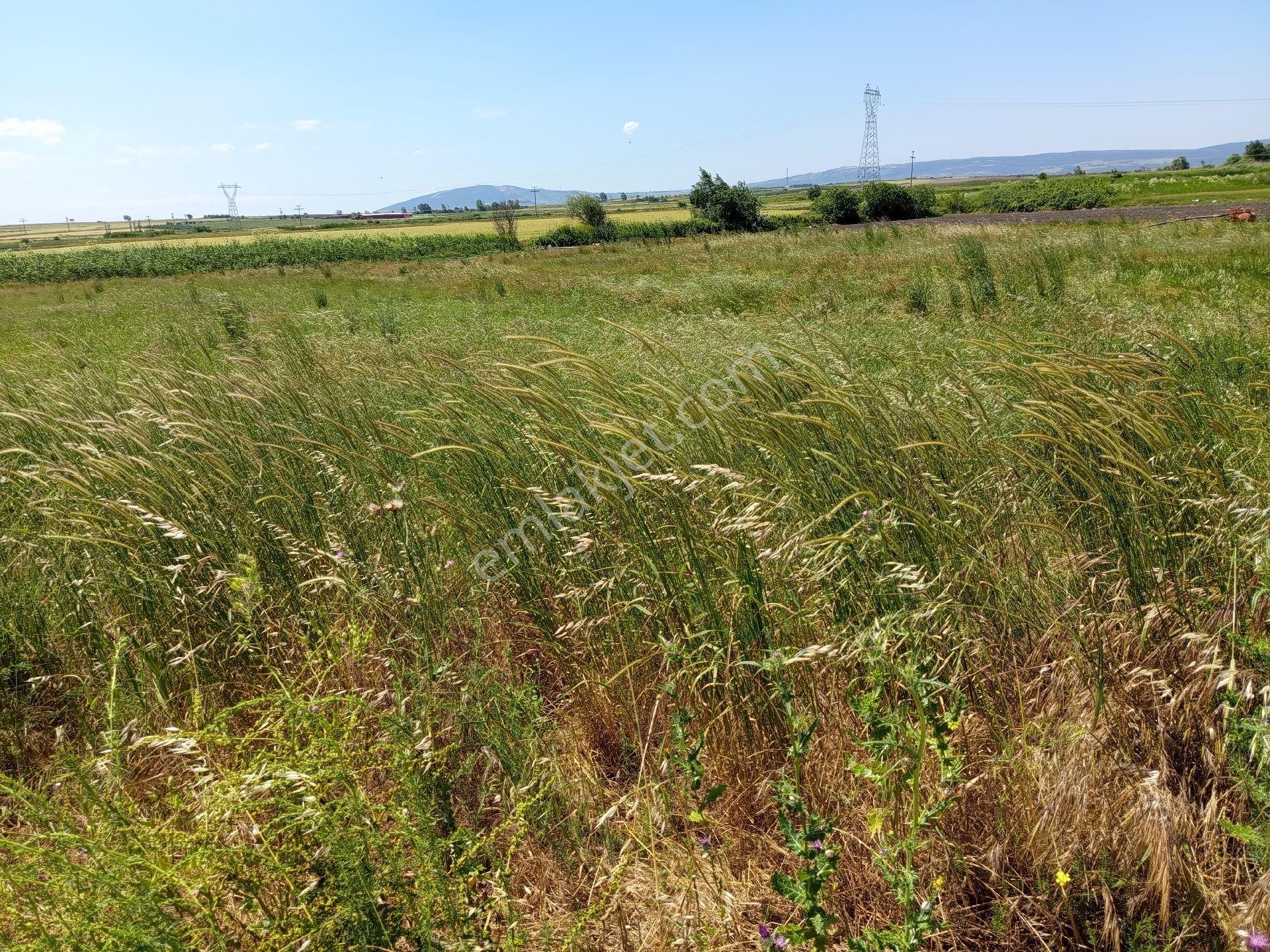 Karacabey Seyran Mahallesi Satılık 4.426 Mt2 Tarla Kadastro Yolu Na Cepheli Otoyola Cepheli - Görsel 33