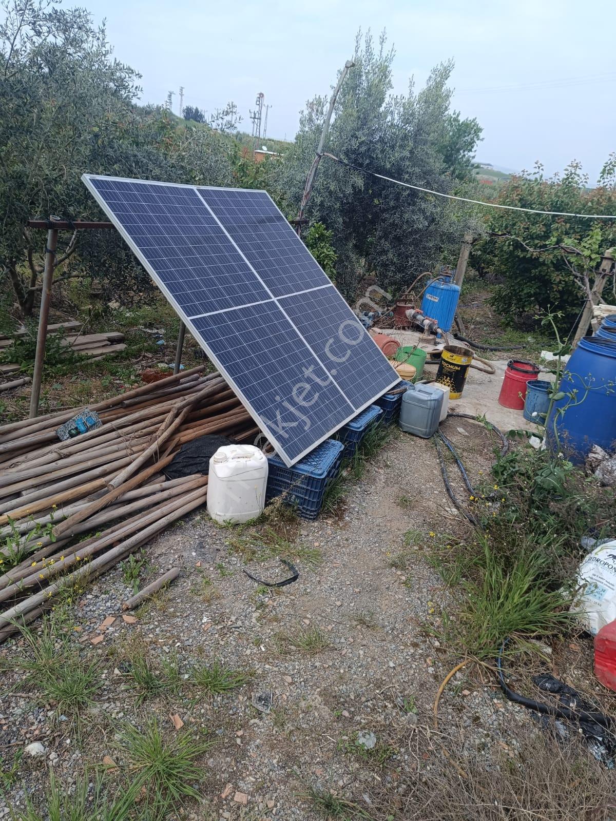 Fa Emlaktan Tarsus İbrişimde Satılık Yatırımlık Ve Verimli Bahçe - Görsel 9