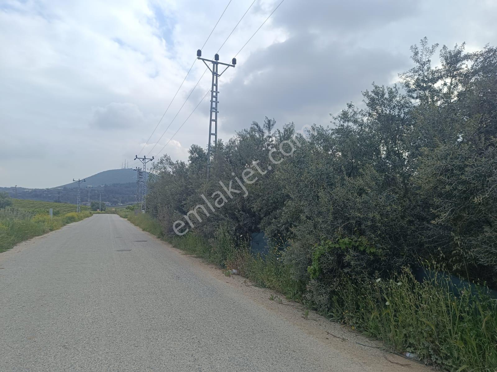 Fa Emlaktan Tarsus İbrişimde Satılık Yatırımlık Ve Verimli Bahçe - Görsel 17
