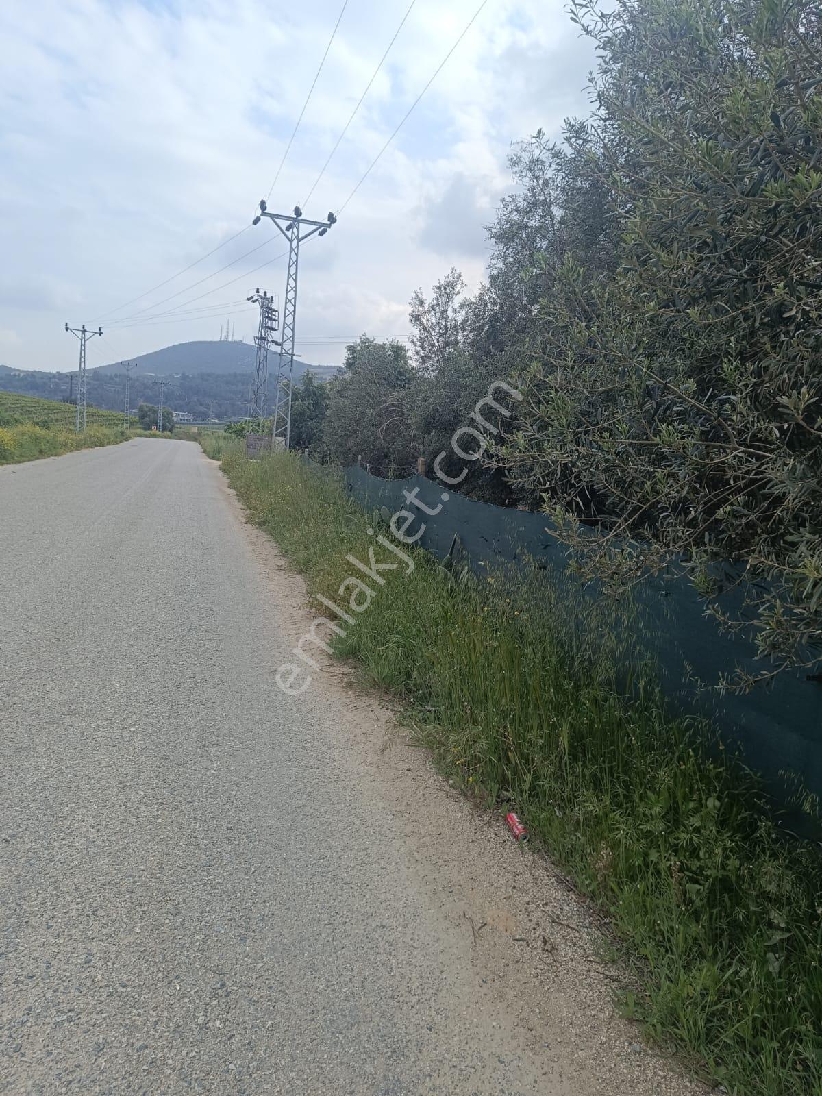 Fa Emlaktan Tarsus İbrişimde Satılık Yatırımlık Ve Verimli Bahçe - Görsel 16