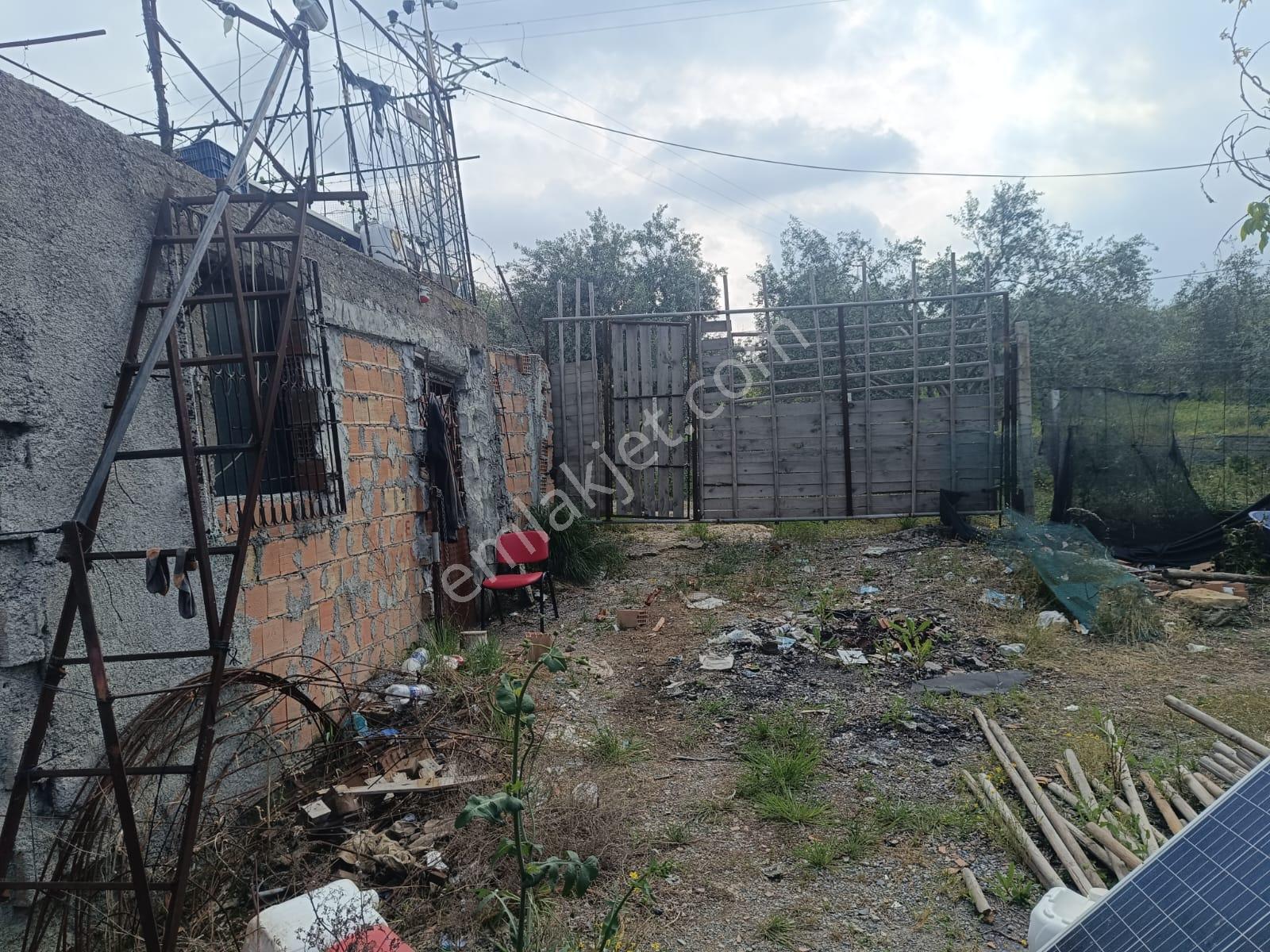 Fa Emlaktan Tarsus İbrişimde Satılık Yatırımlık Ve Verimli Bahçe - Görsel 11