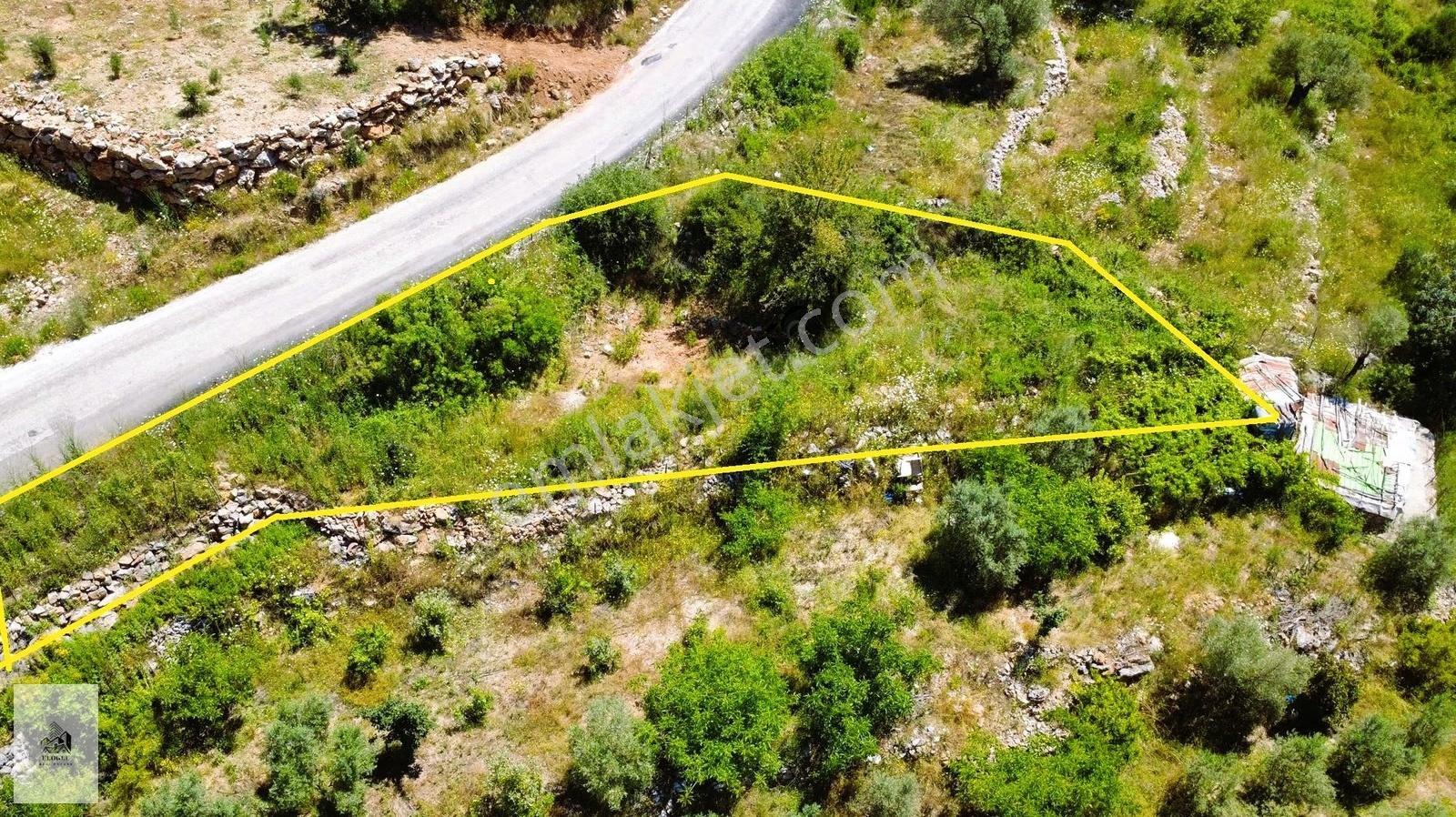 Alanya Karamanlar'dasatılık 548 M2 Tarla - Görsel 14