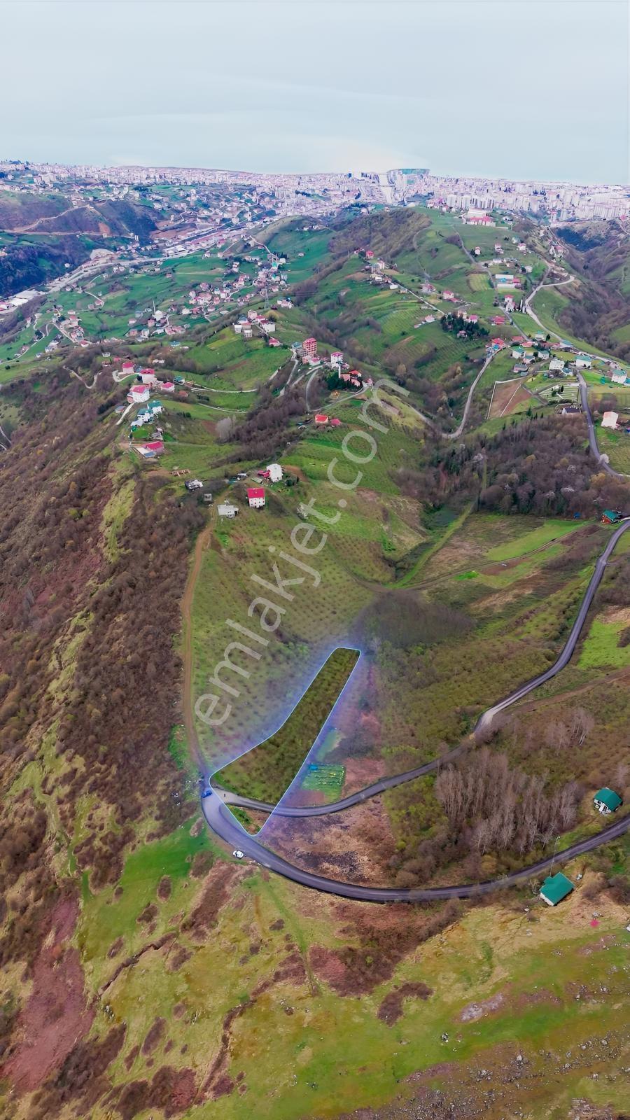Söğütlüde Deniz Manzaralı, Yatırım Değeri Yüksek, Fırsat Arsa - Görsel 5