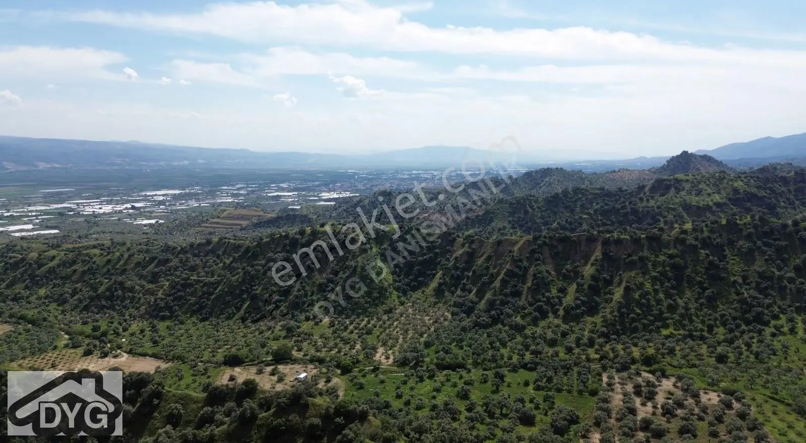 Acil Fiyat Düştü Bu Haftaya Özel Satılık Zeytin Bahçesi - Görsel 2