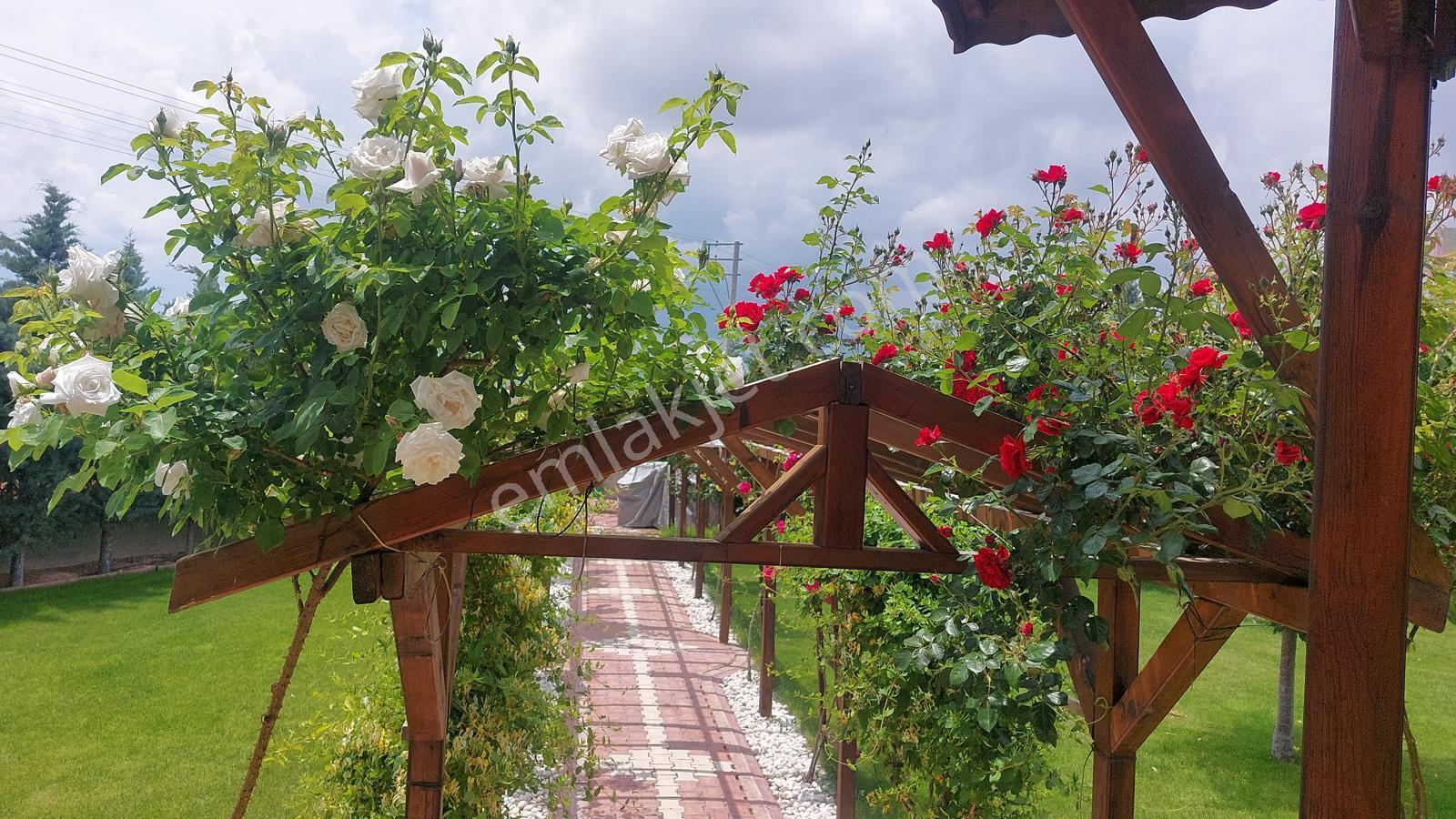 Hatunsaray Yoluna Cephe Sarıkızı Geçince Yapıkayıt Belgeli - Görsel 27