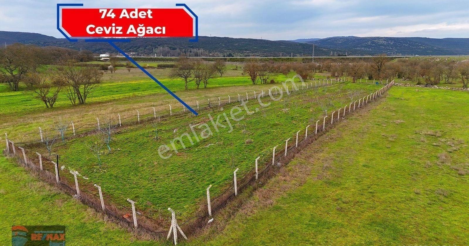 Re/max İnci'den Savaştepe Soğucak Mah. Satılık Ceviz Ağaçlı Tarla - Görsel 11