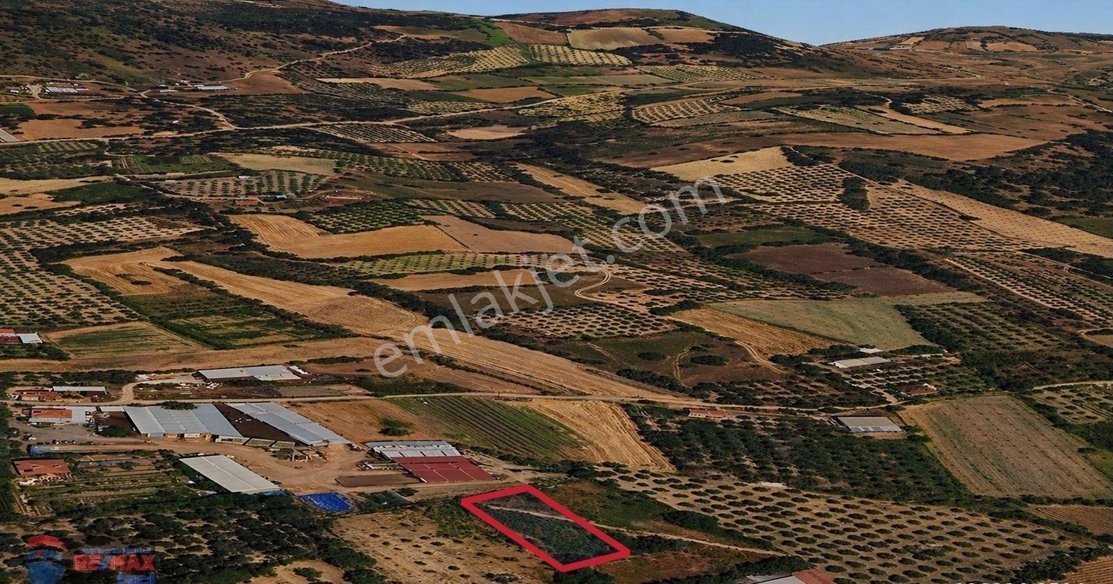Re/max İnci'den Bigadiç Çekirdekli Mah. Satılık Bağ&bahçe - Görsel 9
