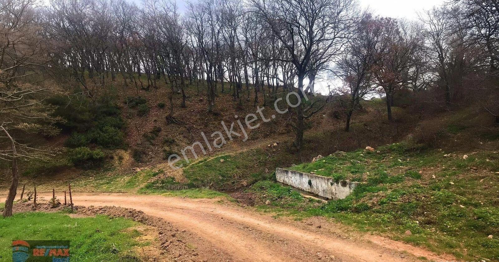 Re/max İnci'den Savaştepe Kongurca 9.171 M² Satılık Tarla - Görsel 19