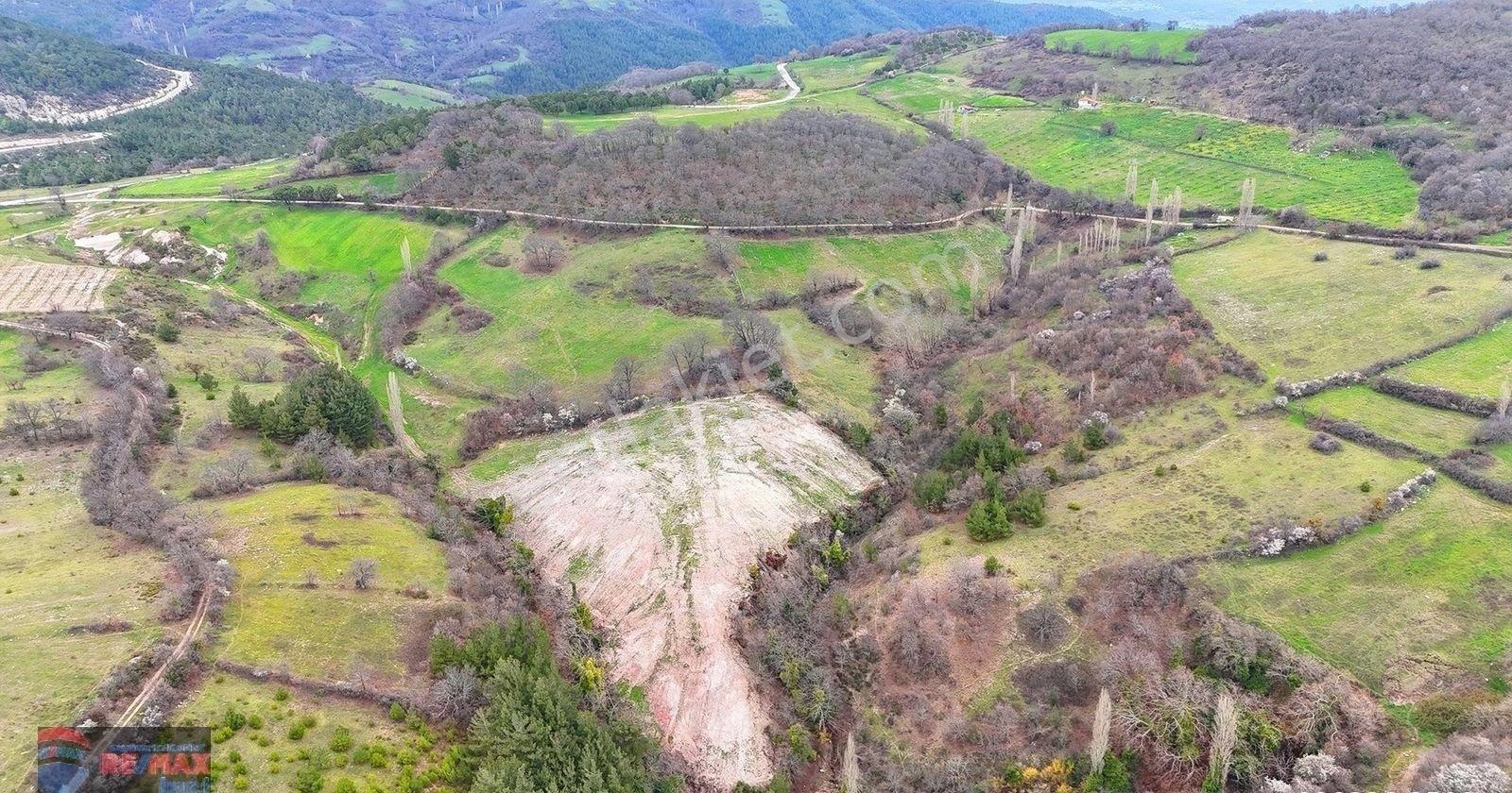 Re/max İnci'den Savaştepe Kongurca 9.171 M² Satılık Tarla - Görsel 18