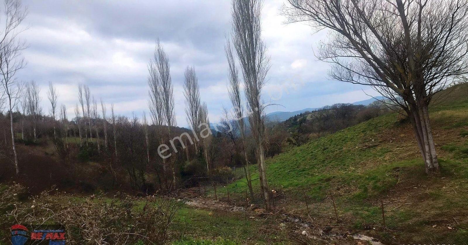 Re/max İnci'den Savaştepe Kongurca 9.171 M² Satılık Tarla - Görsel 25