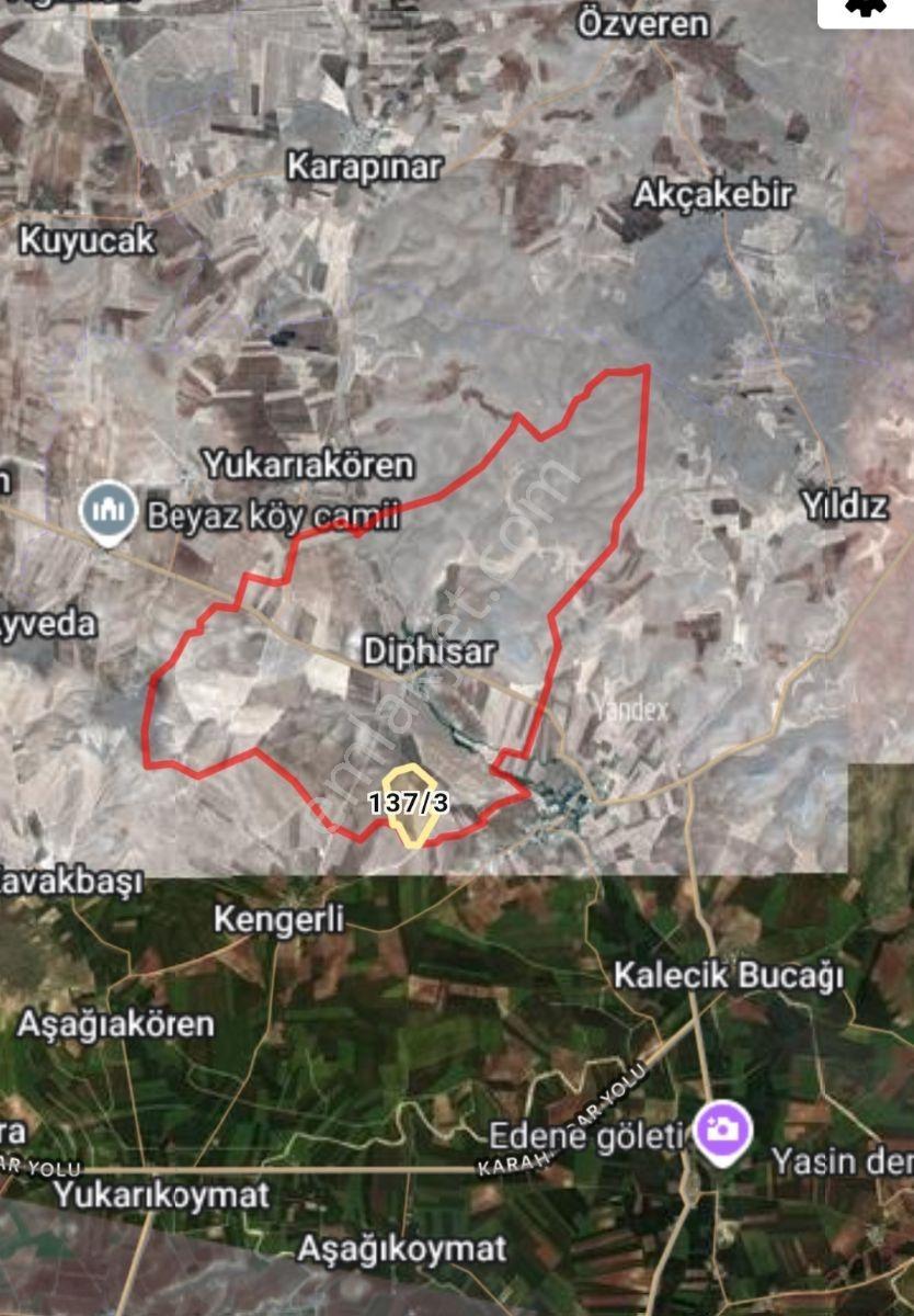 Öznur Emlak'tan Haliliye Diphisar'da Satılık Verimli Fıstıklık - Görsel 2