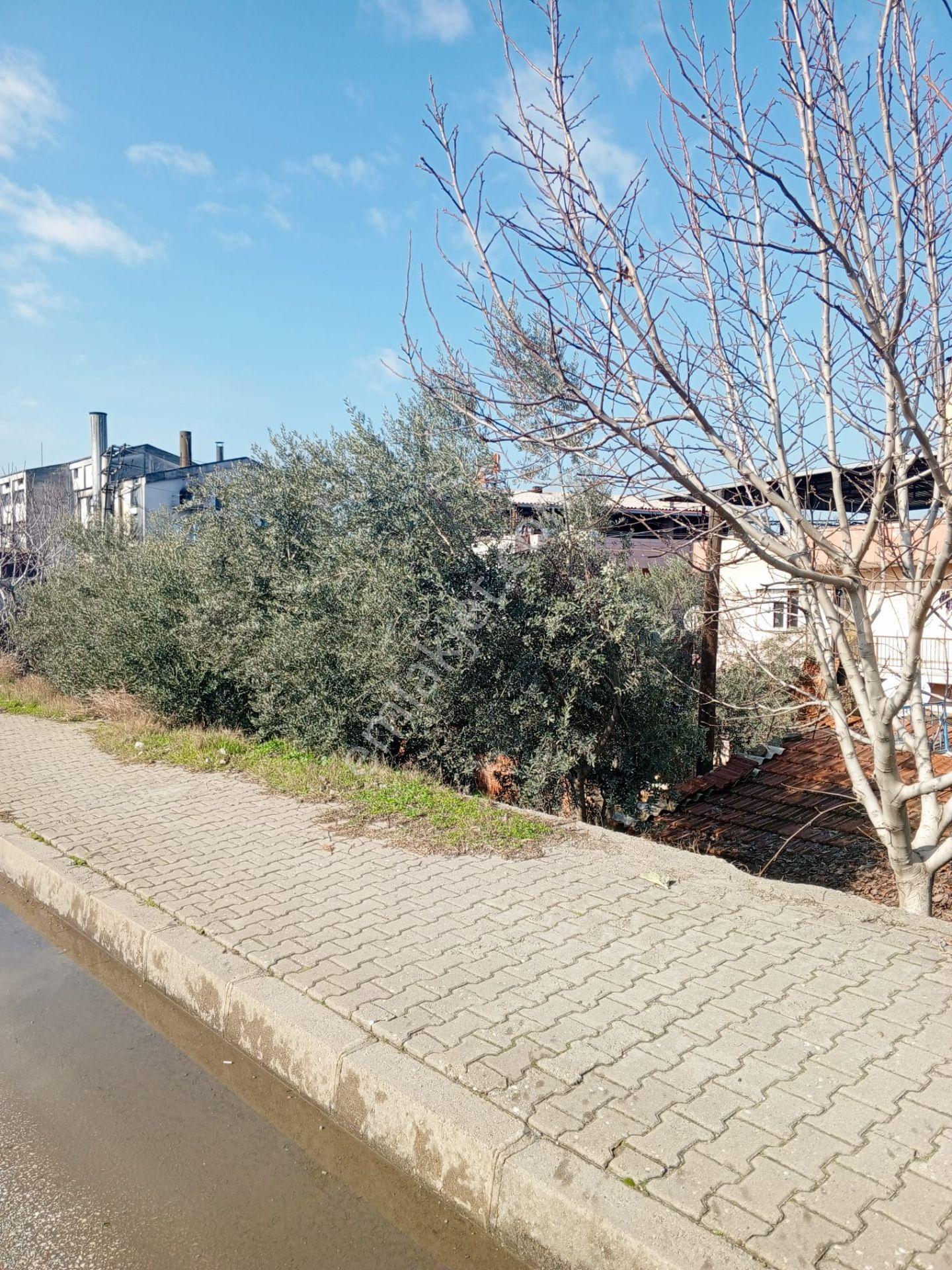 Satılık Ankara Asfaltına Cepheli Komple Bina - Görsel 10