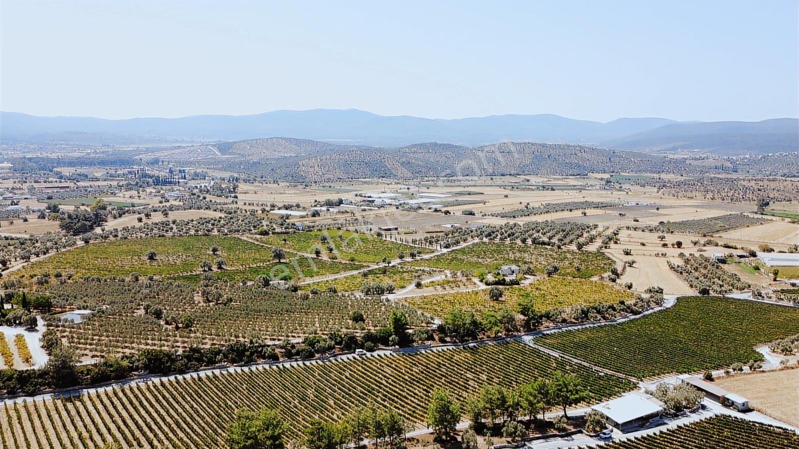 Muğla Milas Dörttepe Mah. 65 Dönüm-12.500 M2 Depo İmarlı Arsa ! - Görsel 8