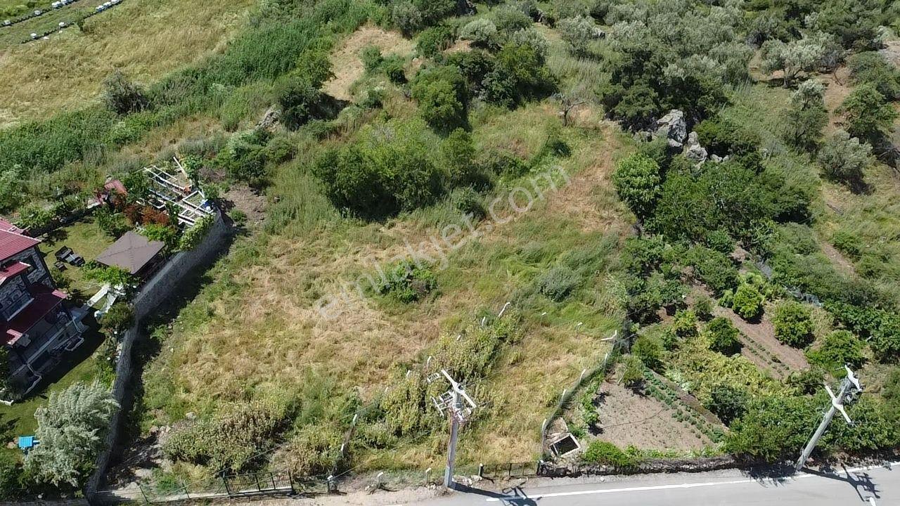 🟥aktiften Dutlucada 1523 M2 Manzaralı Satılık Bahçe - Görsel 4
