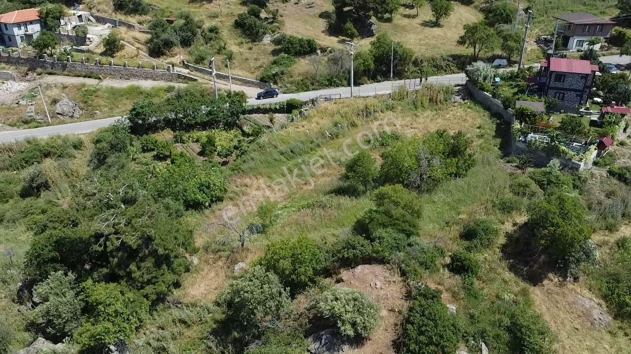 🟥aktiften Dutlucada 1523 M2 Manzaralı Satılık Bahçe - Görsel 13