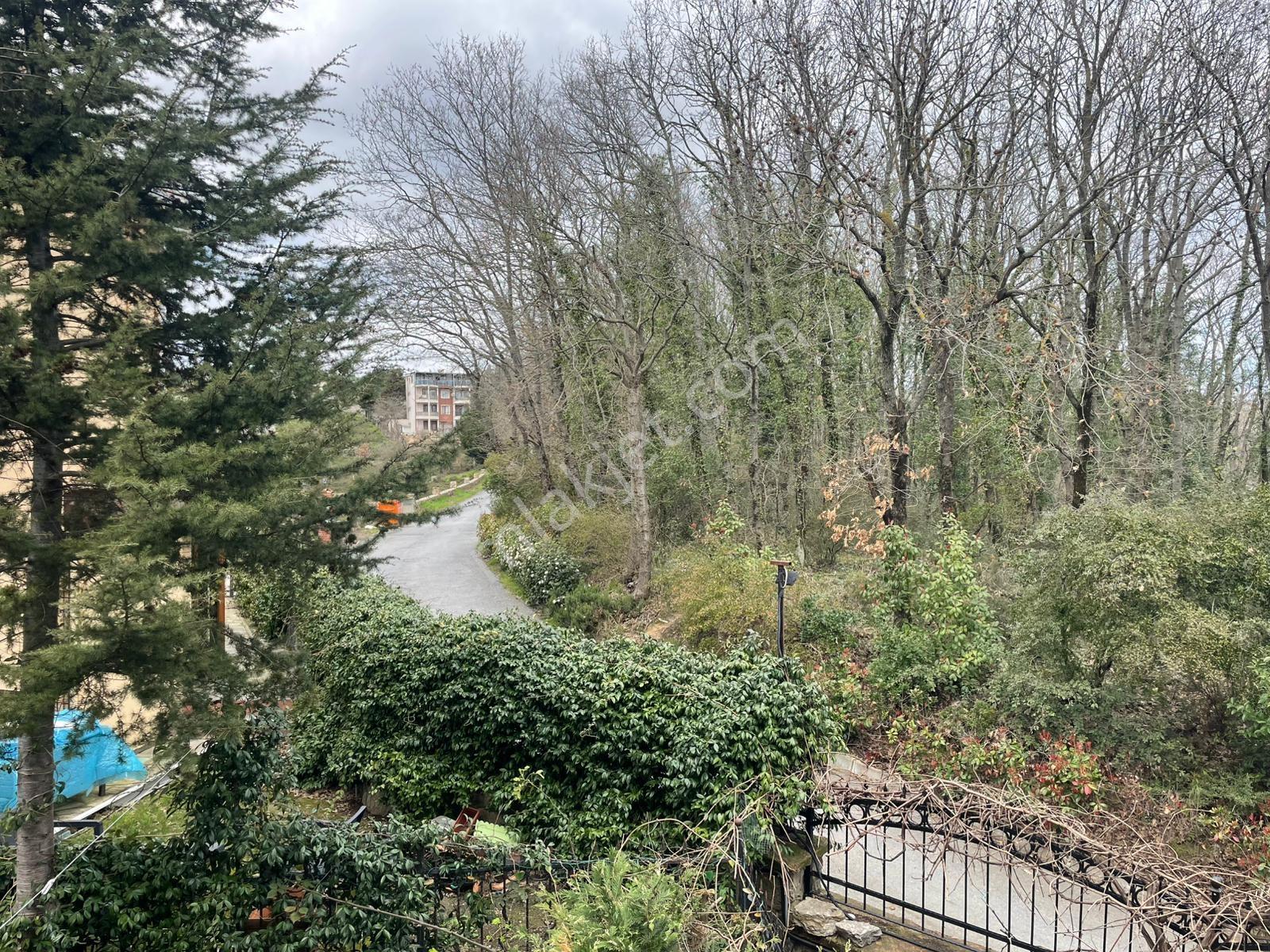Beykoz Çavuşbaşı Serkent Villalarında 5+2 Doğa İçinde Lüks Villa - Görsel 17