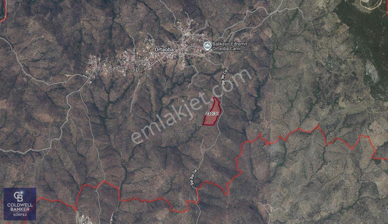 Edremit Ortaobada Deniz Manzaralı Satılık Zeytinlik - Görsel 16