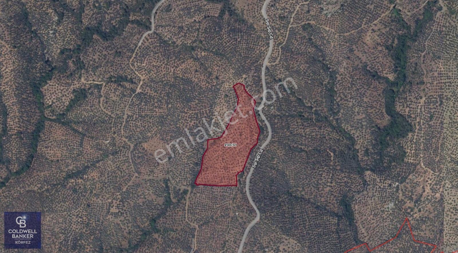 Edremit Ortaobada Deniz Manzaralı Satılık Zeytinlik - Görsel 11