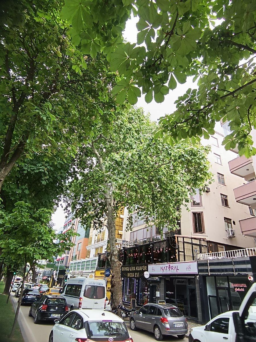 Bursa Osmangazi Kültürpark Karşısı 2+1 Kiralık Daire - Görsel 28
