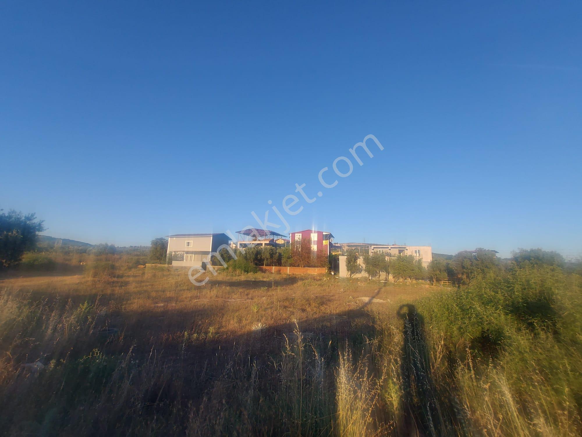 Turpa Lotus'tan Yazıbaşı'nda Geniş 3+1 Kiralık Daire (150m²) - Görsel 3