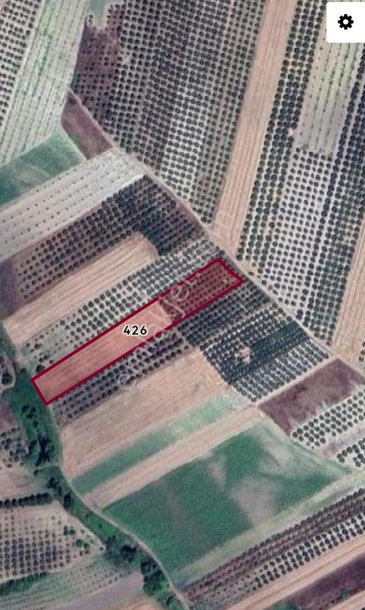 Selçuklu'dan İsmetpaşada Yola Cephe Yerleşime Yakın Fırsat Tarla - Görsel 3