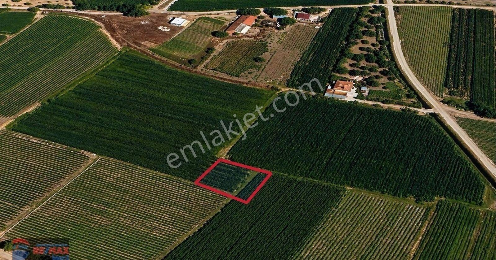 Re/max İnci'den Bigadiç Çekirdekli Mah. 586 M2 Satılık Tarla - Görsel 30