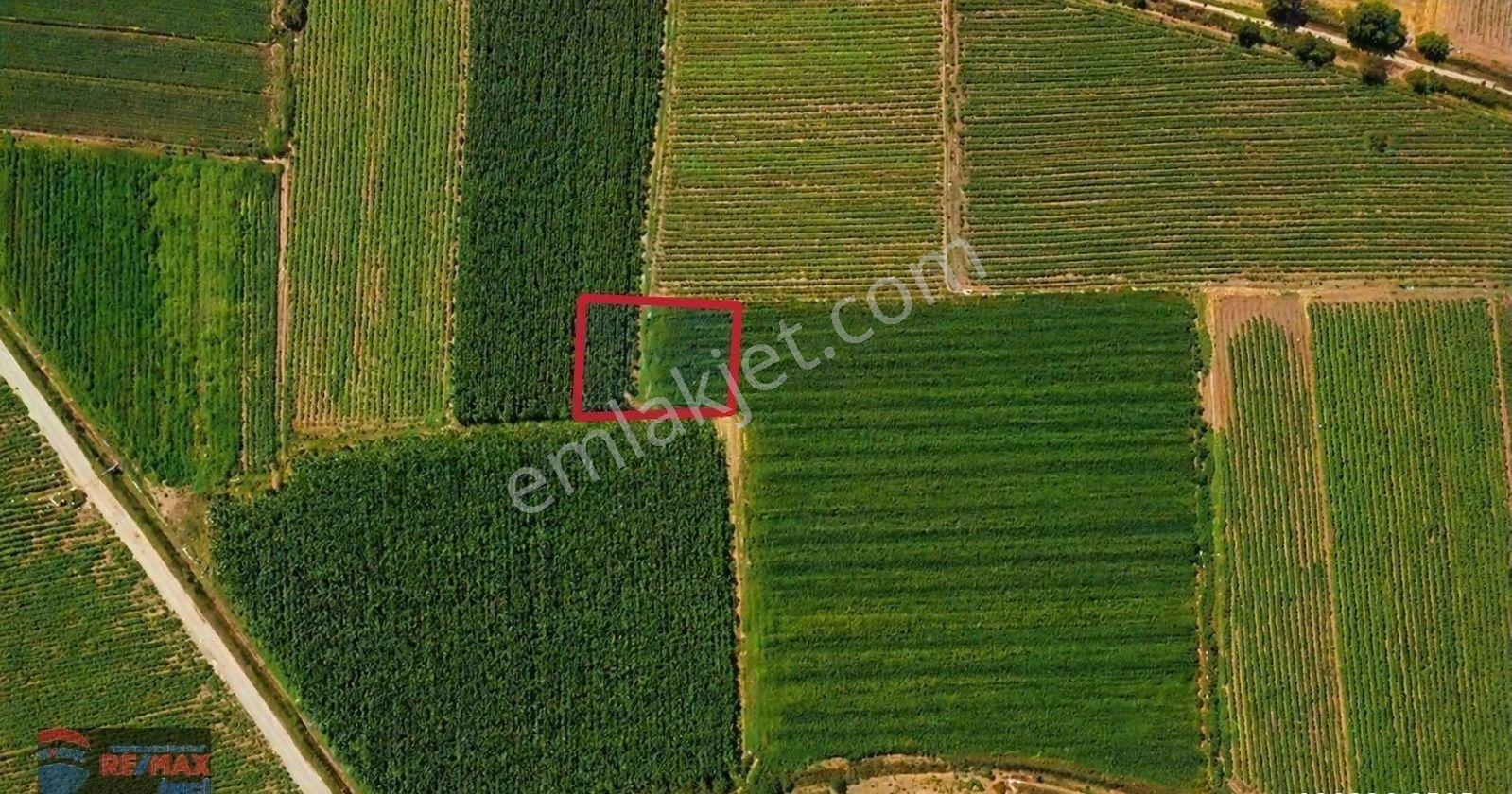 Re/max İnci'den Bigadiç Çekirdekli Mah. 586 M2 Satılık Tarla - Görsel 7