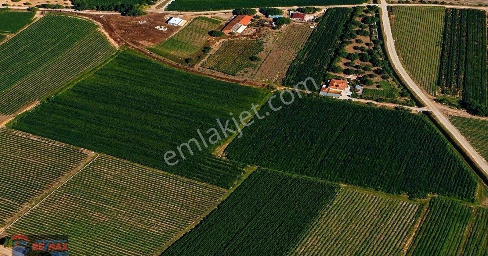 Re/max İnci'den Bigadiç Çekirdekli Mah. 586 M2 Satılık Tarla - Görsel 6
