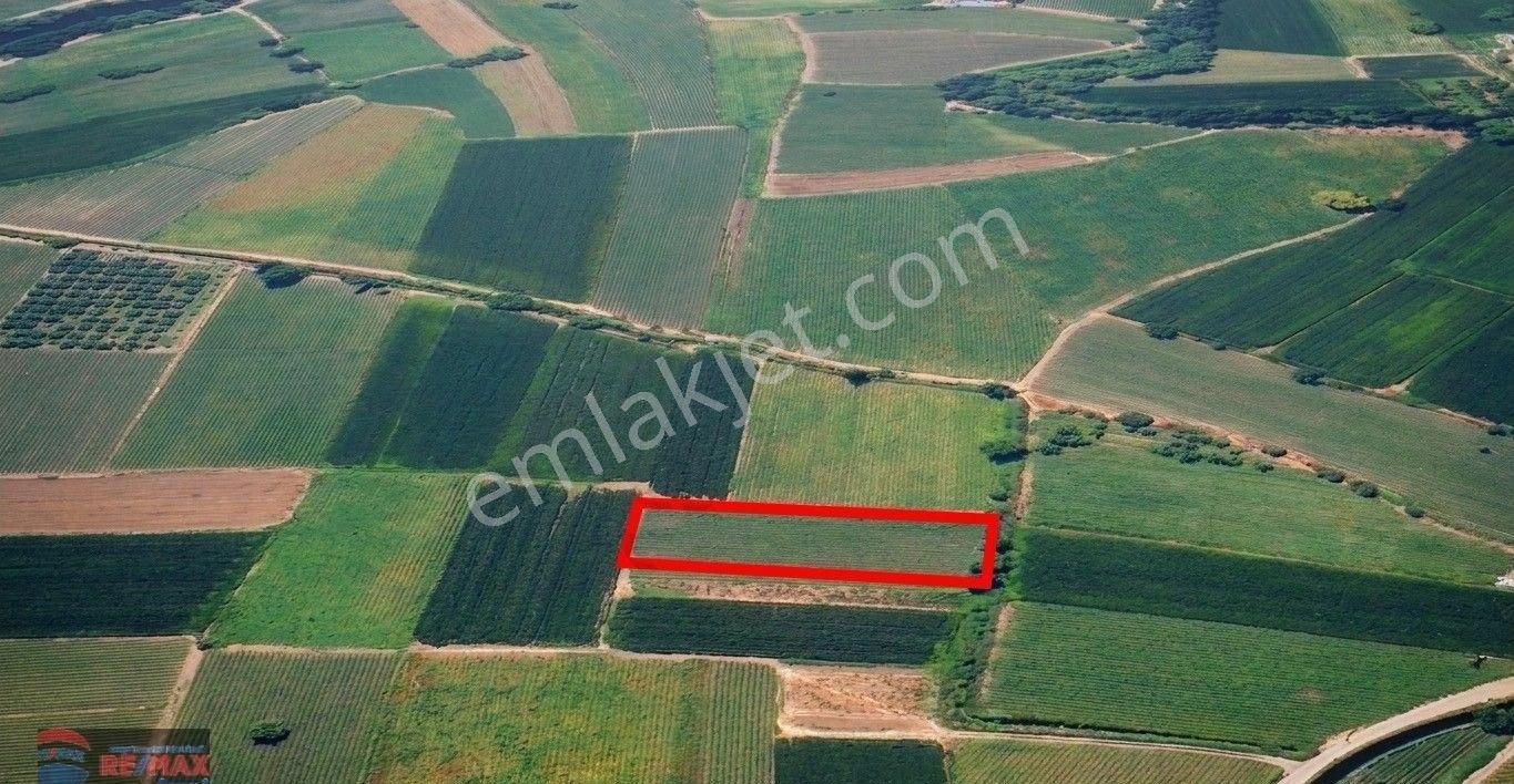 Re/max İnci'den Bigadiç Çekirdekli Mah. 2.379 M2 Satılık Tarla - Görsel 16