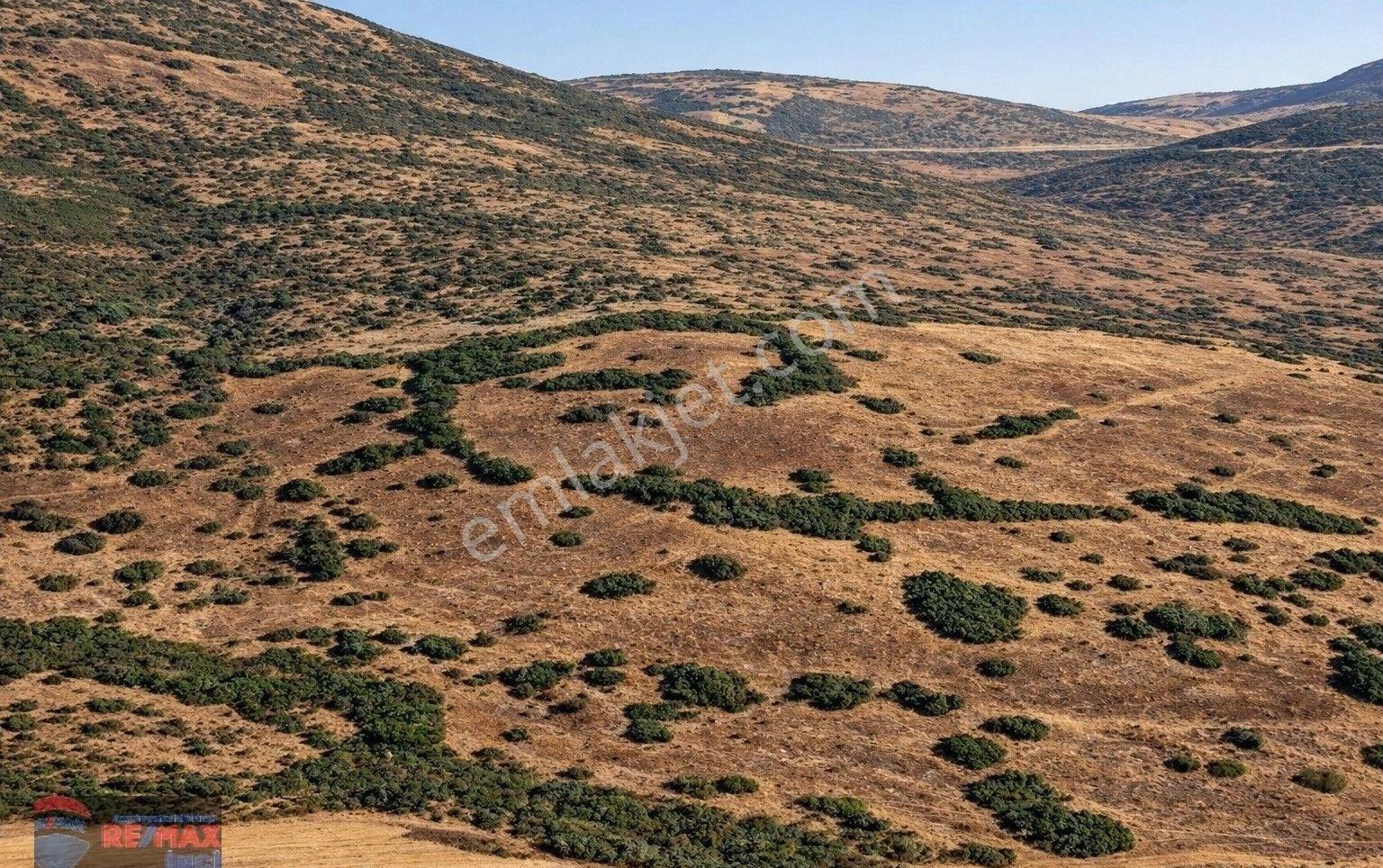 Re/max İnci'den Dursunbey Karapınar Mah. 12.911 M2 Satılık Tarla - Görsel 2